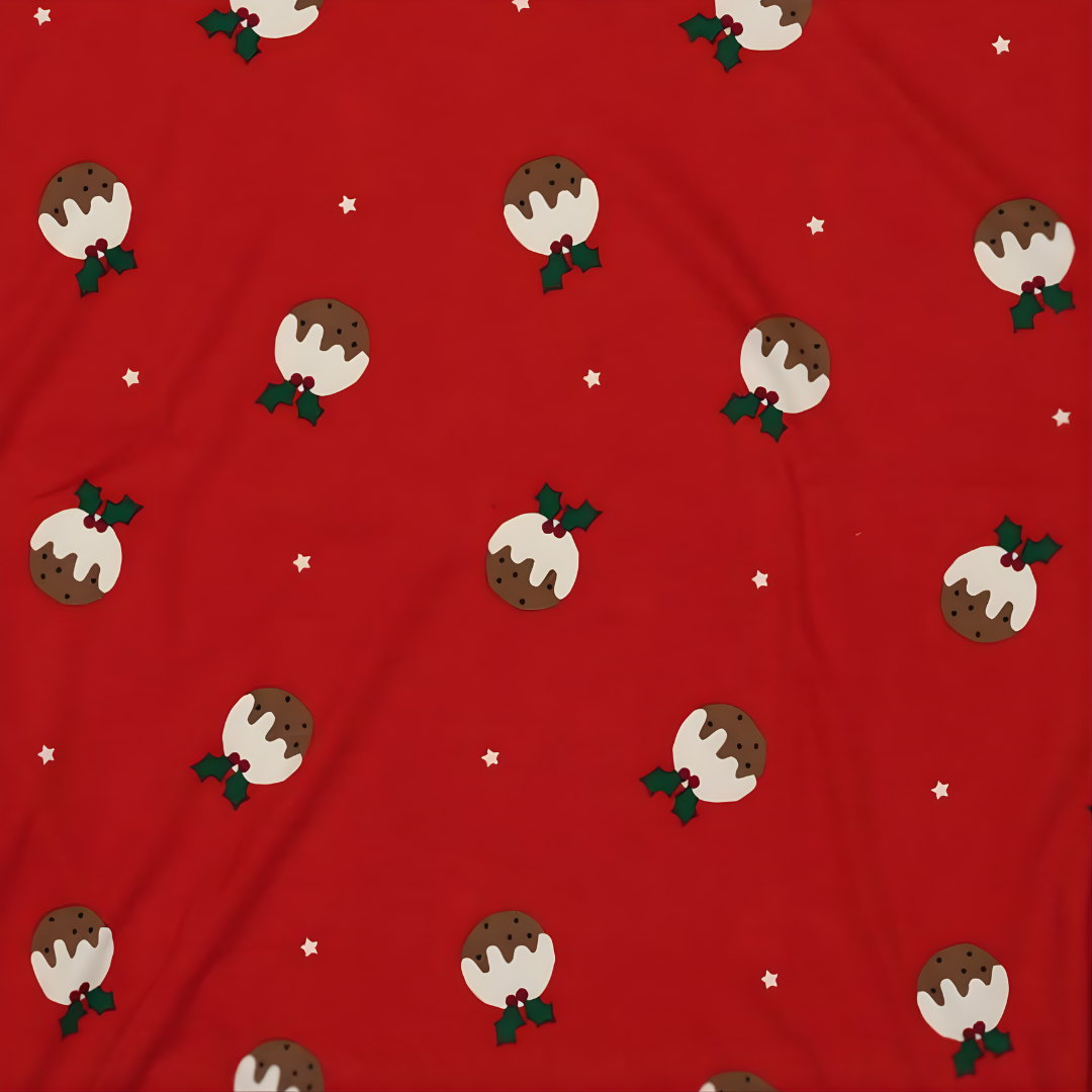 fashion clothes for women holiday print tee